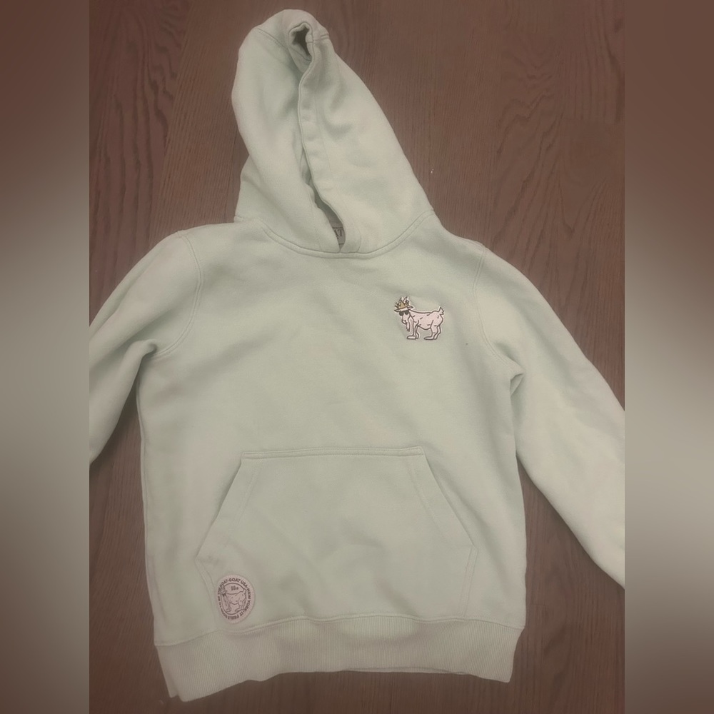 Mint green Goat usa sweatshirt youth large